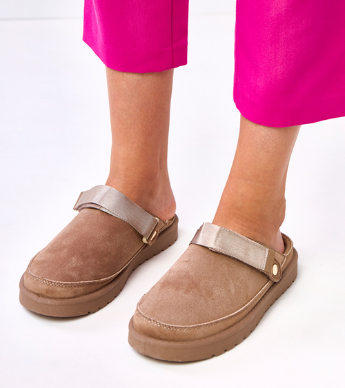 Rudi lipukai su lipuku Miluska